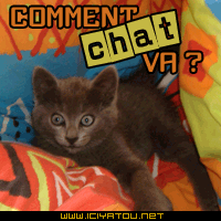 comment ....